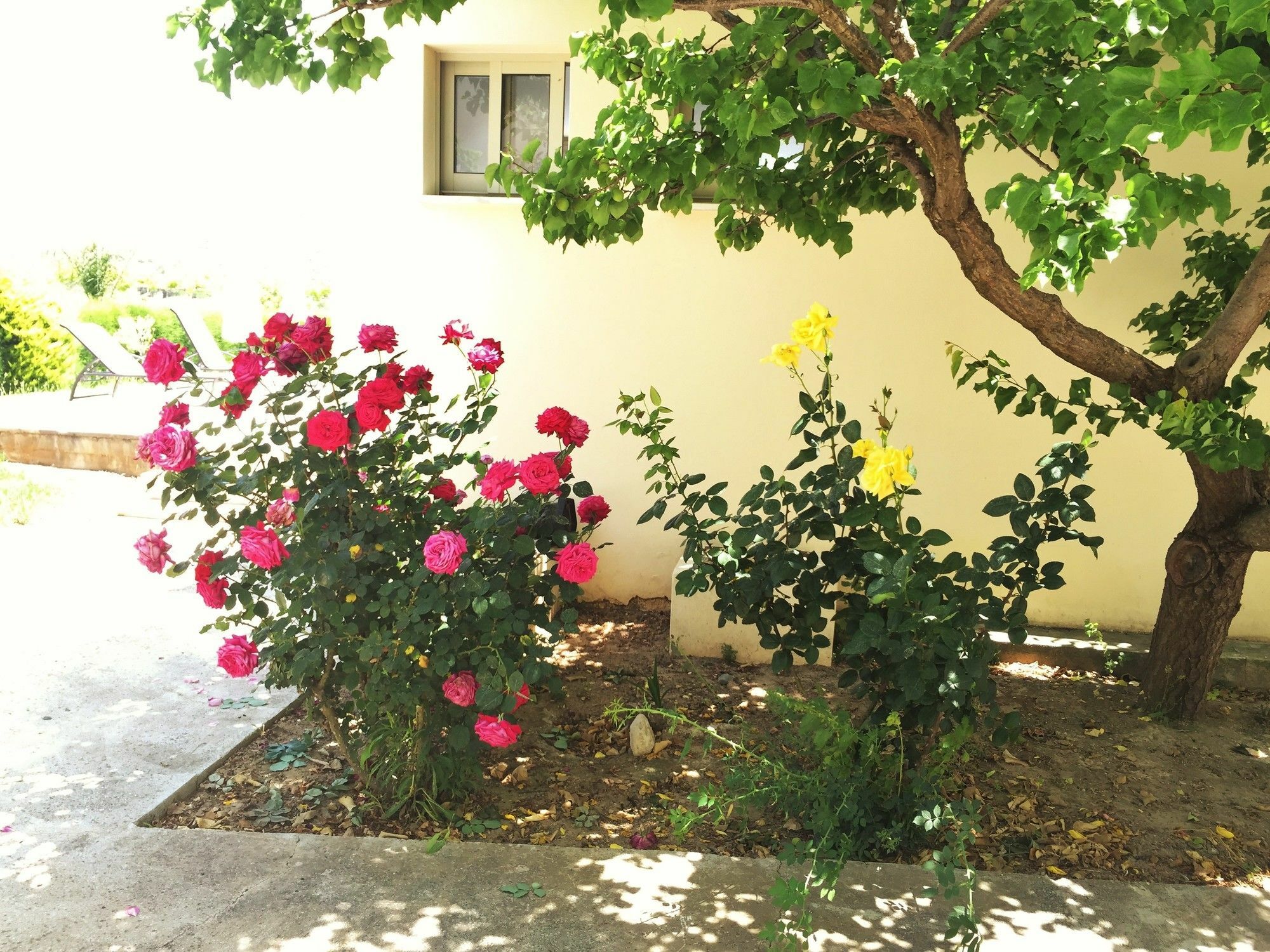 Himonas Apartments Pissouri Exterior photo